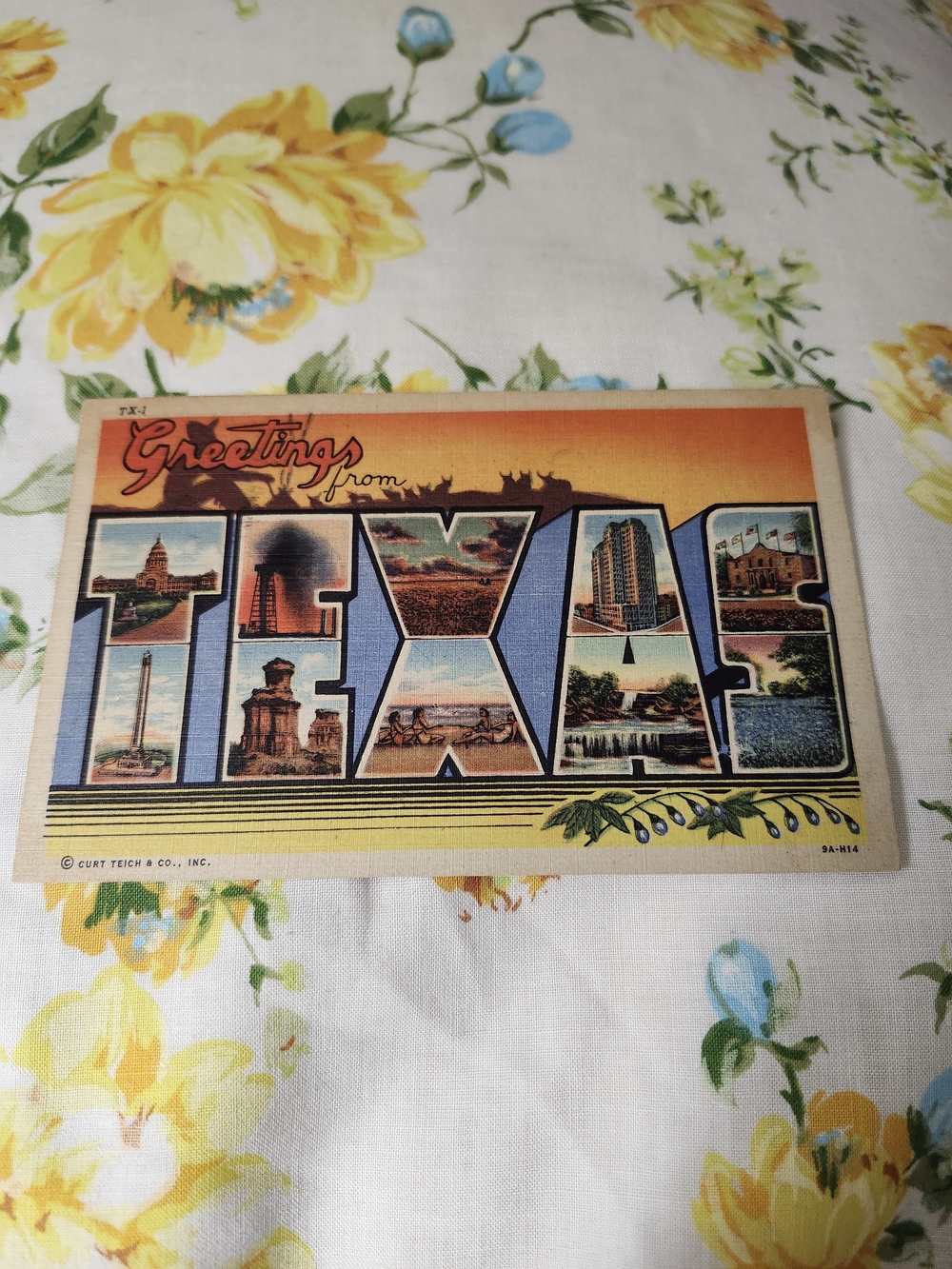 Vintage 'Greetings from TEXAS' Souvenir Postcard